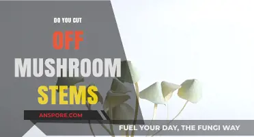 Should You Cut Off Mushroom Stems?