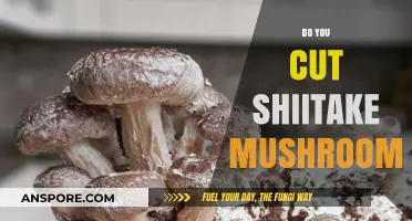 How to Cut Shiitake Mushrooms Like a Pro
