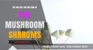 Trimming Mushroom Stems: When and Why You Should Do It