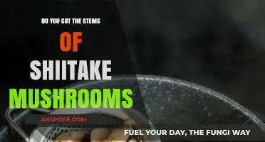 Shiitake Stems: To Cut or Not to Cut?