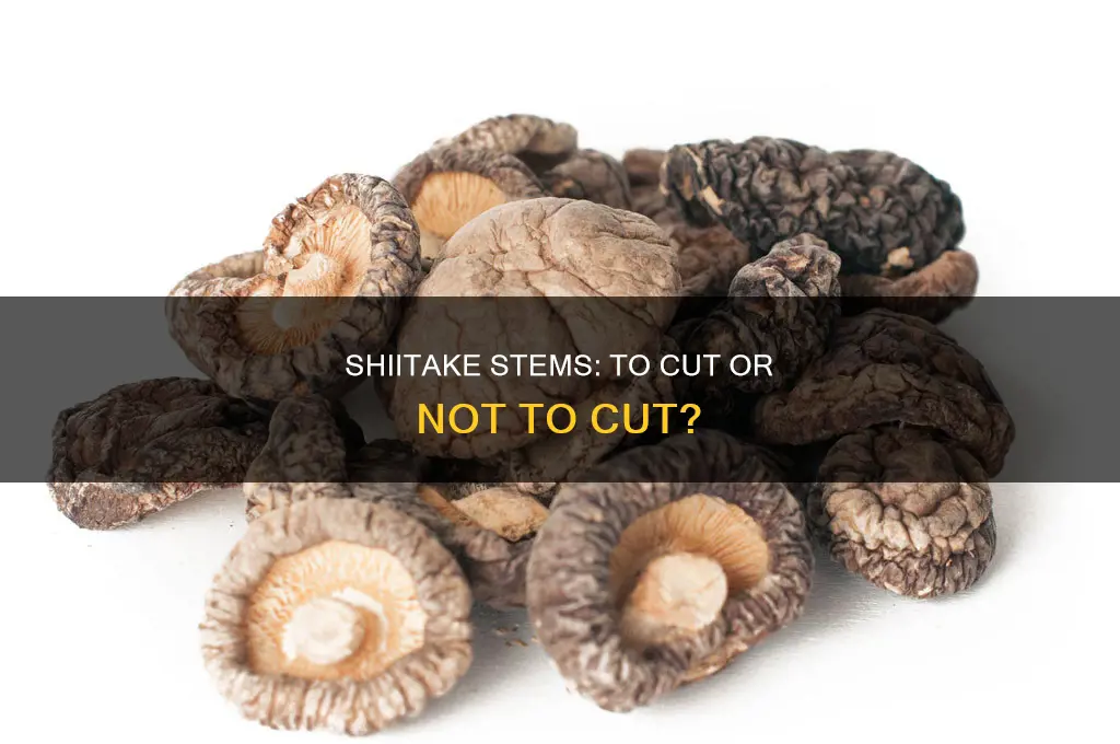 do you cut the stems of shiitake mushrooms