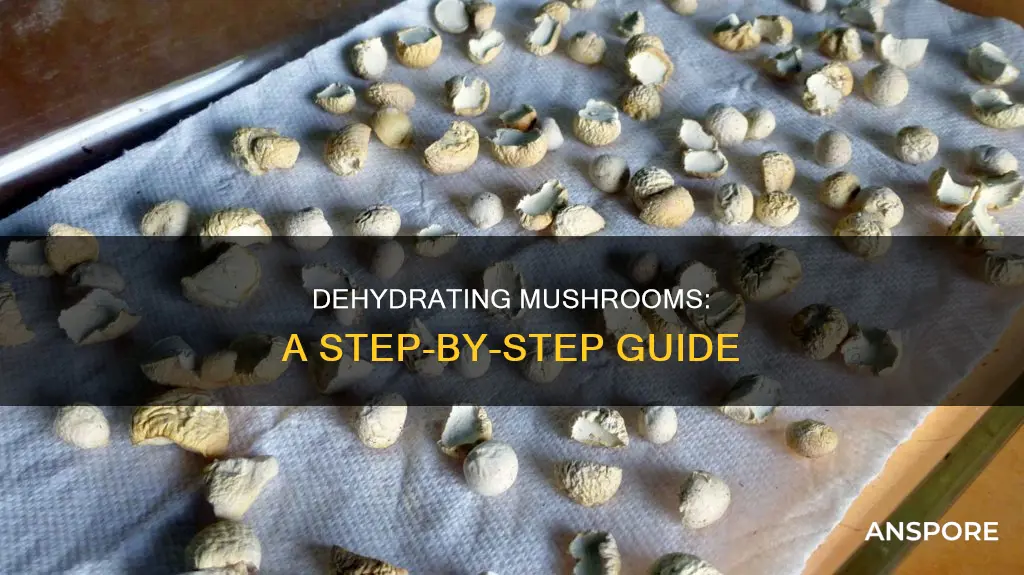 do you dehydrate mushrooms