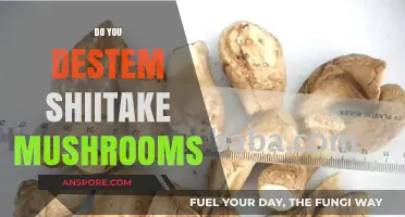 Shiitake Secrets: Stem or No Stem?