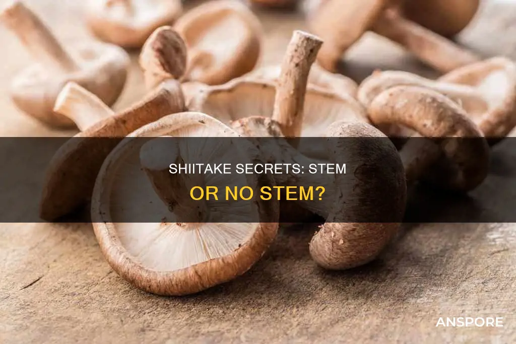 do you destem shiitake mushrooms