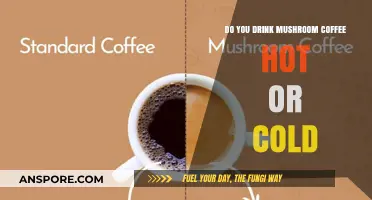 How to Brew Mushroom Coffee: Hot or Cold?