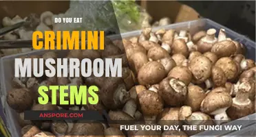 Should You Eat Crimini Mushroom Stems? A Tasty Debate Explored