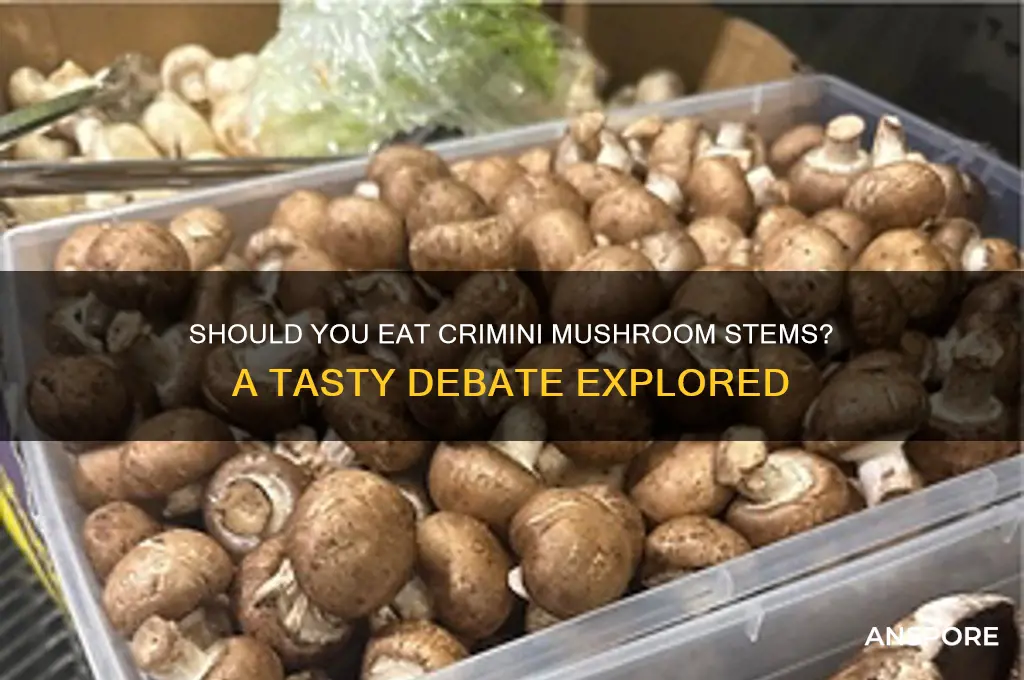 do you eat crimini mushroom stems