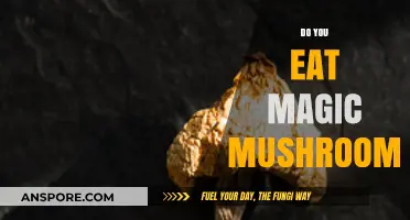 Exploring the Risks and Realities of Consuming Magic Mushrooms