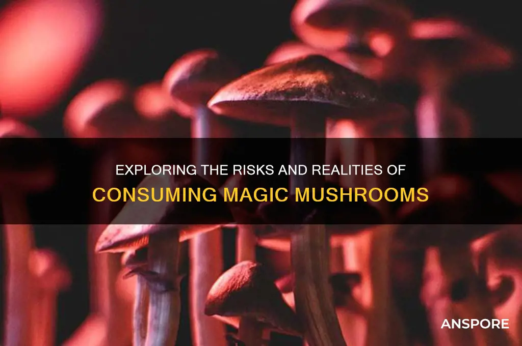 do you eat magic mushrooms