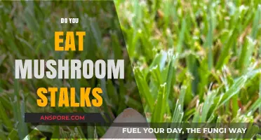 Should You Eat Mushroom Stalks? A Tasty Debate Unveiled