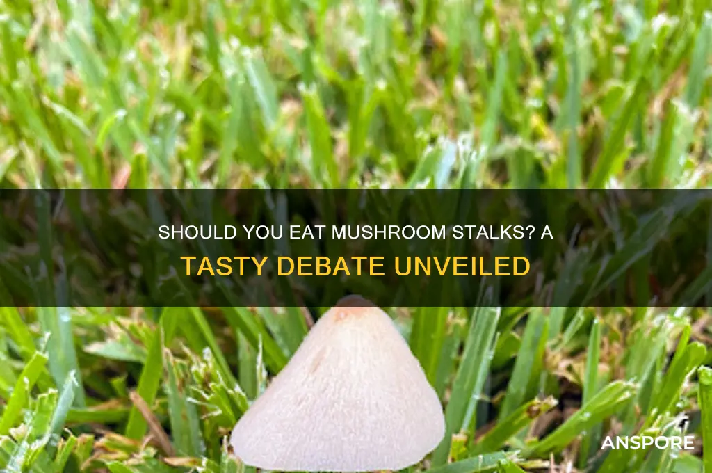 do you eat mushroom stalks
