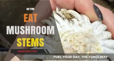 Should You Eat Mushroom Stems? A Tasty Debate Unveiled