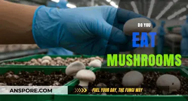 Do You Eat Mushrooms? Exploring Their Benefits, Risks, and Culinary Uses
