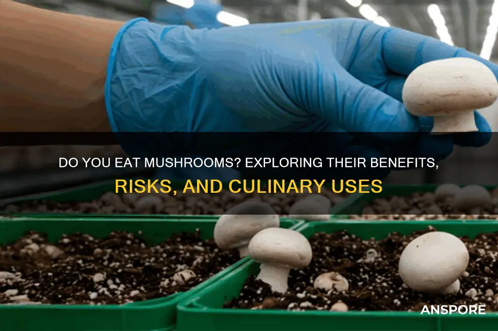 do you eat mushrooms