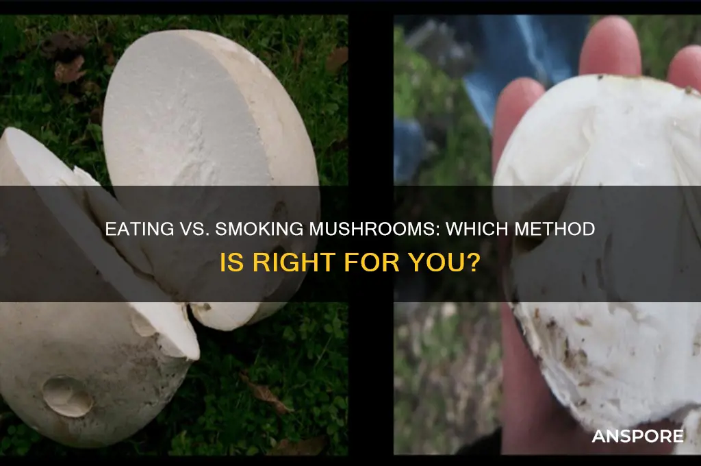 do you eat or smoke mushrooms