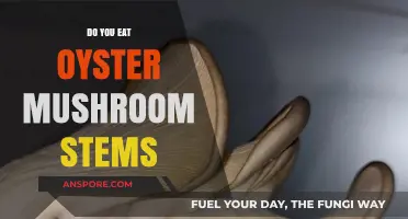Can You Eat Oyster Mushroom Stems? A Tasty Guide