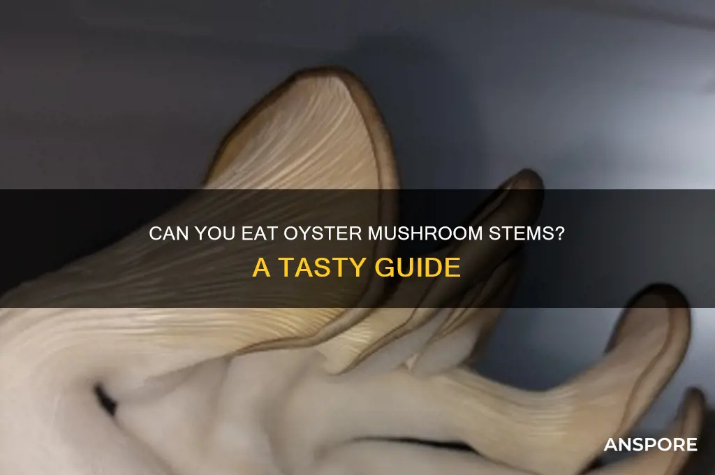 do you eat oyster mushroom stems