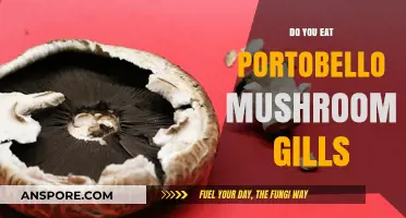 Should You Eat Portobello Mushroom Gills? A Culinary Debate Explored