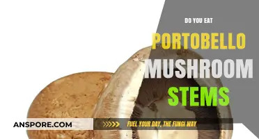 Should You Eat Portobello Mushroom Stems? A Tasty Debate