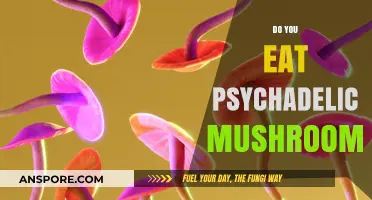 Exploring the Mind: Should You Consume Psychedelic Mushrooms?