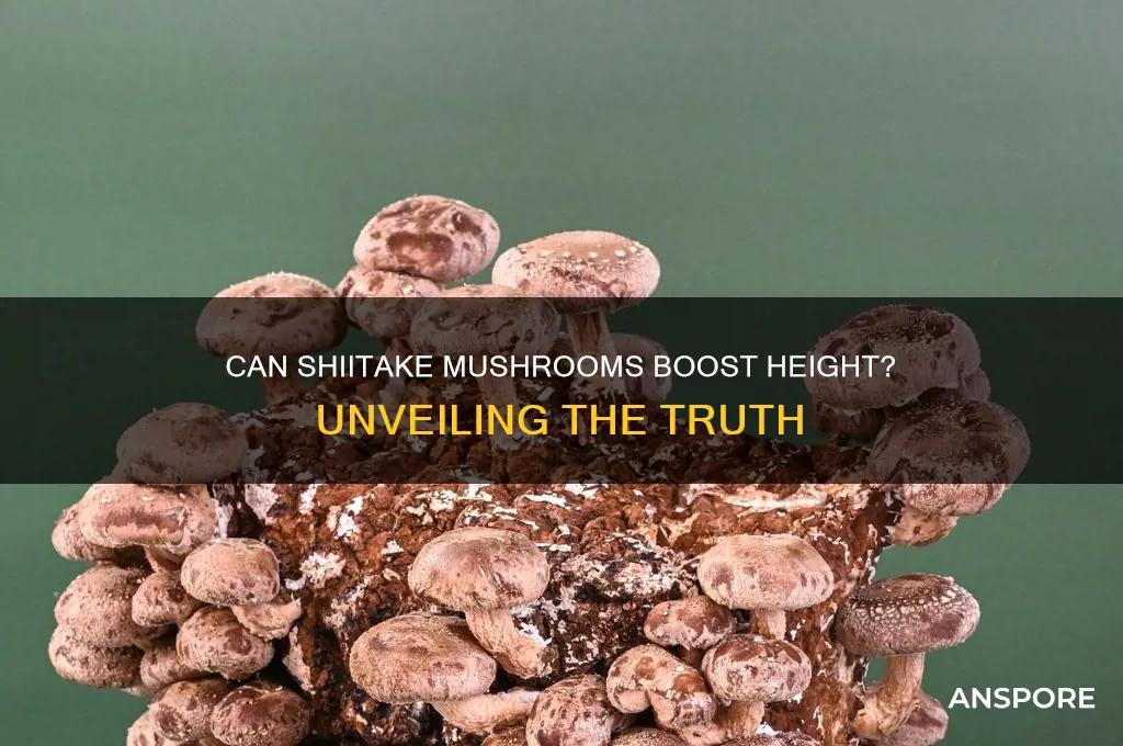 do you eat shiitake mushrooms make you taller