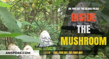 Should You Eat Mushroom Black Folds? A Tasty Debate Explored