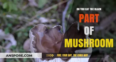 Should You Eat the Dark Gills of Mushrooms? A Tasty Debate