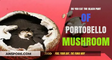 Should You Eat the Dark Gills of Portobello Mushrooms? A Guide