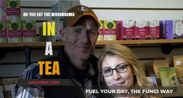 Should You Brew and Consume Mushrooms in Your Tea?