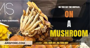 Should You Eat Mushroom Ruffles? A Tasty Debate Explored