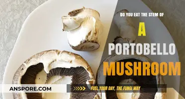 Can You Eat Portobello Mushroom Stems? A Tasty Guide