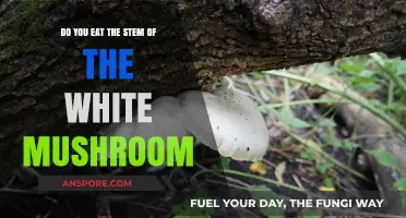 Can You Eat White Mushroom Stems? A Tasty Guide to Edible Parts