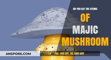 Should You Eat Magic Mushroom Stems? Benefits, Risks, and Tips