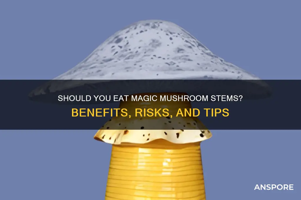 do you eat the stems of majic mushrooms