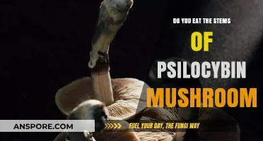 Should You Eat Psilocybin Mushroom Stems? A Complete Guide