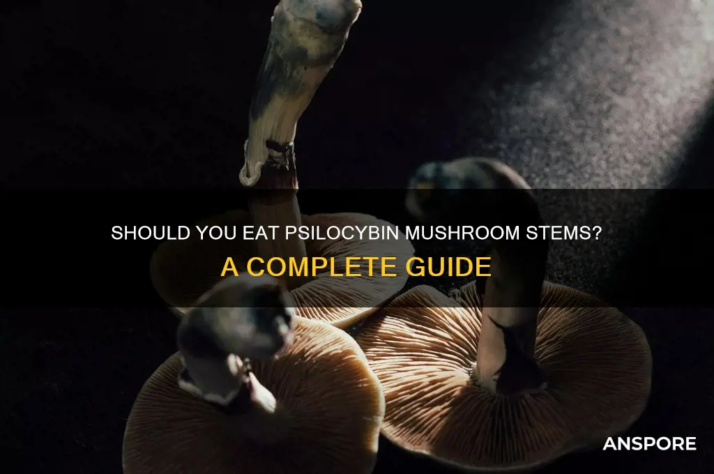 do you eat the stems of psilocybin mushrooms