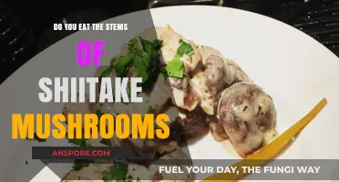Shiitake Stems: Edible or Not? A Mushroom Lover's Guide