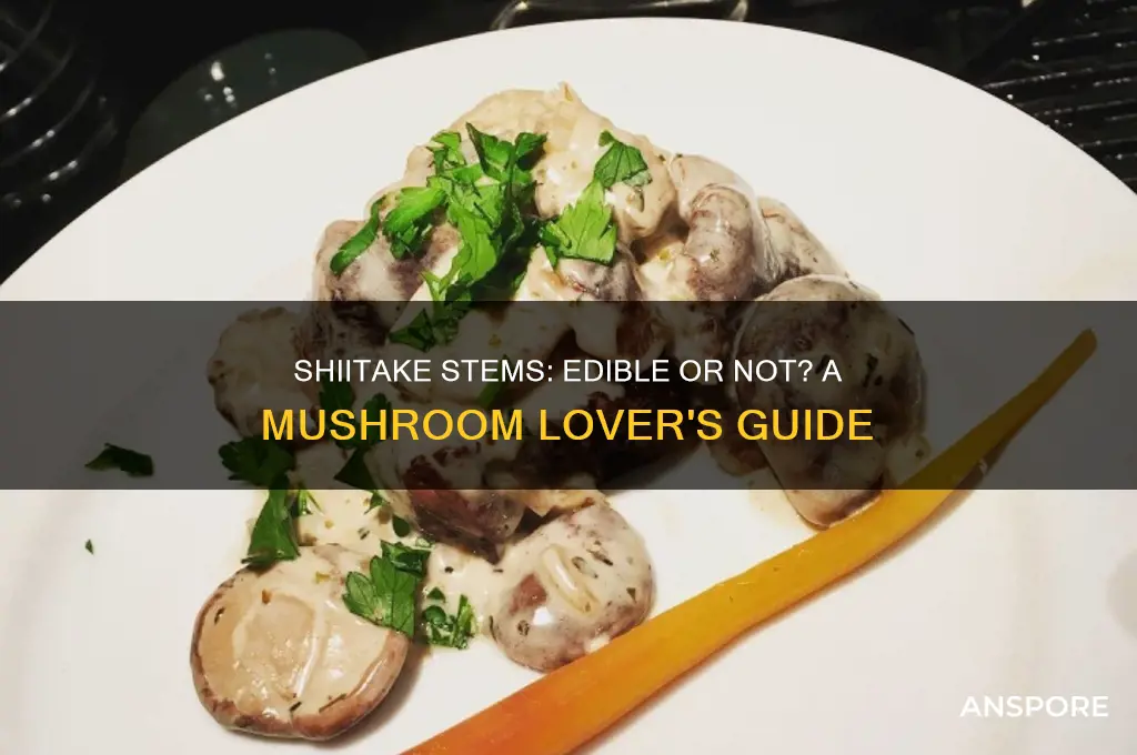 do you eat the stems of shiitake mushrooms