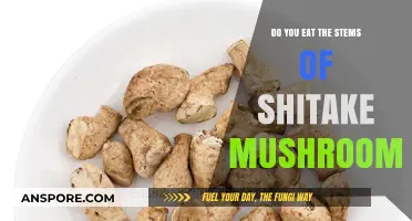 Can You Eat Shiitake Mushroom Stems? A Tasty Guide