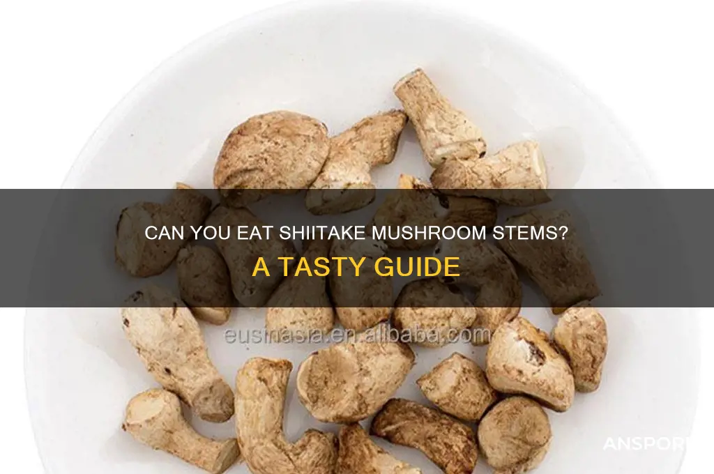 do you eat the stems of shitake mushrooms