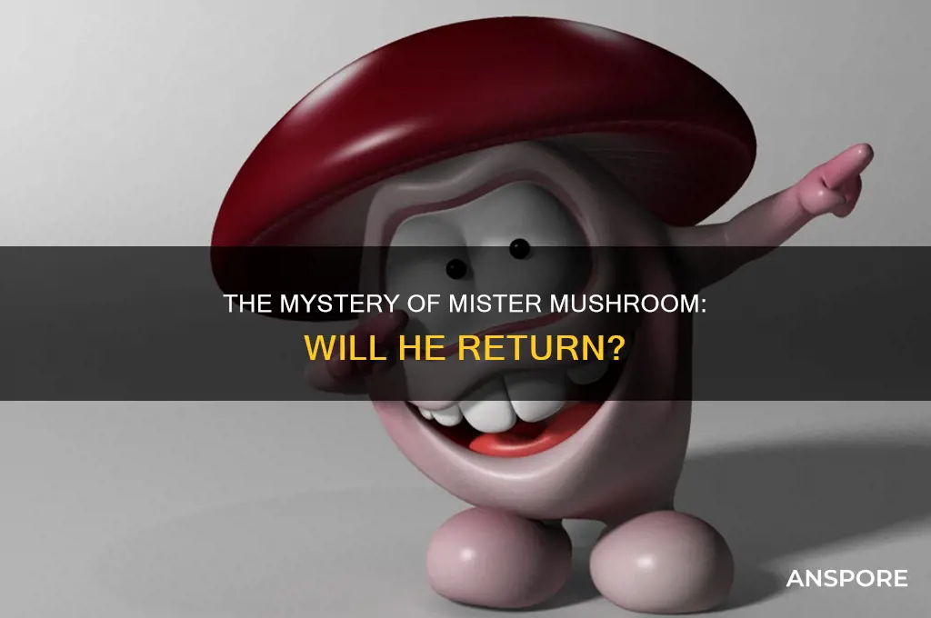 do you ever see mister mushroom agaijn