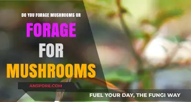 Foraging for Mushrooms: Is It "For" or "Of"?