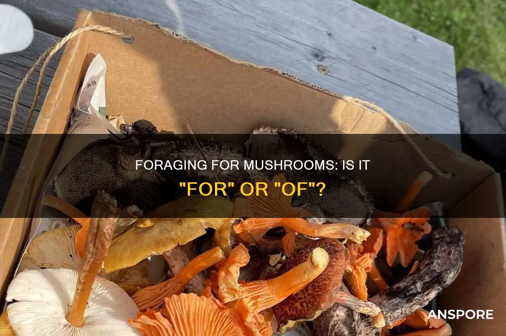 do you forage mushrooms or forage for mushrooms