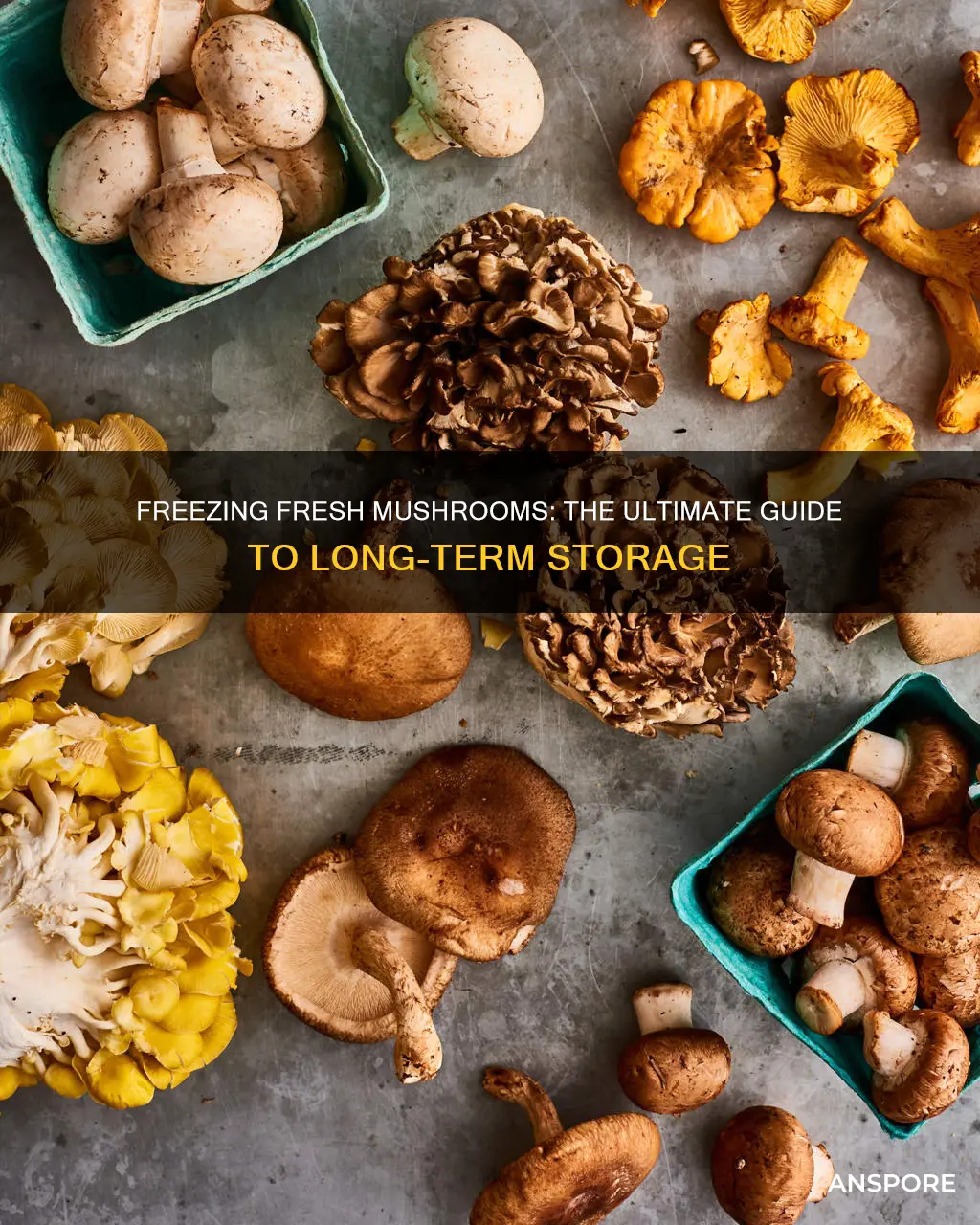 do you freeze fresh mushrooms