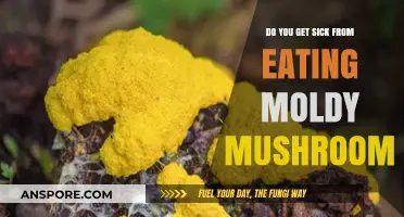 Can Eating Moldy Mushrooms Make You Sick? Risks Explained