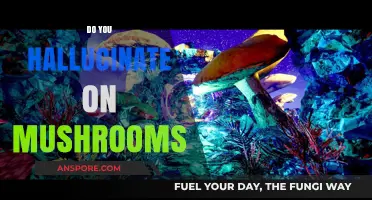 Psychedelic Mushrooms: Hallucinations and the Mind