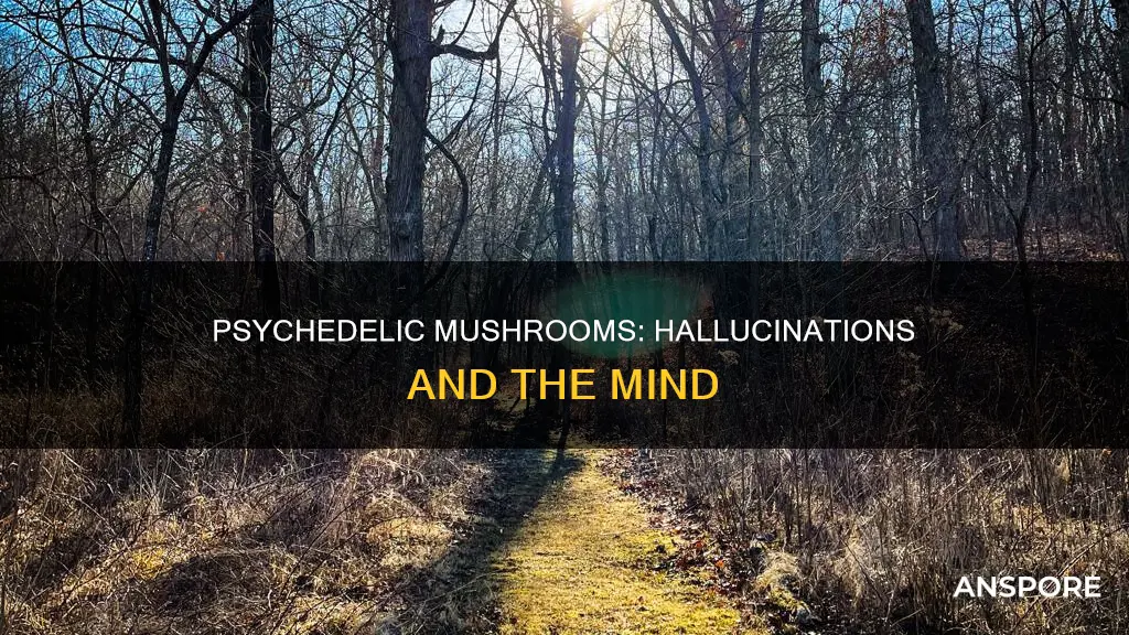 do you hallucinate on mushrooms