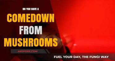 Psychedelic Mushroom Use: What's the Comedown?