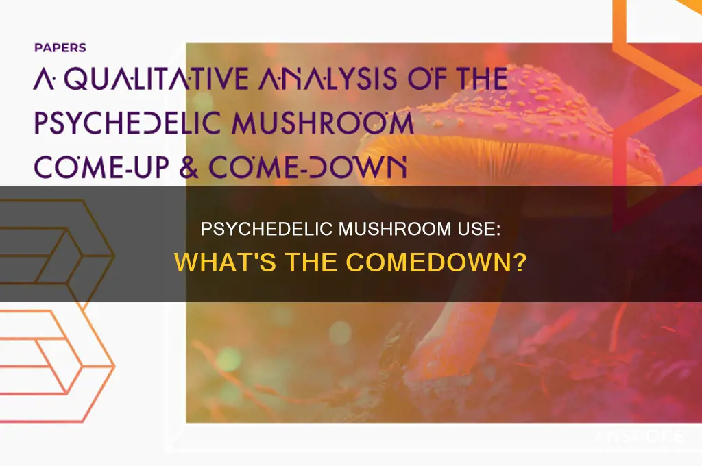 do you have a comedown from mushrooms