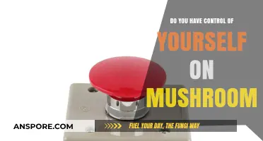 Mushrooms: Can You Keep Your Cool?